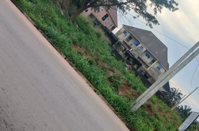 50 by 100ft plot along the tarred 9thmike Abor road